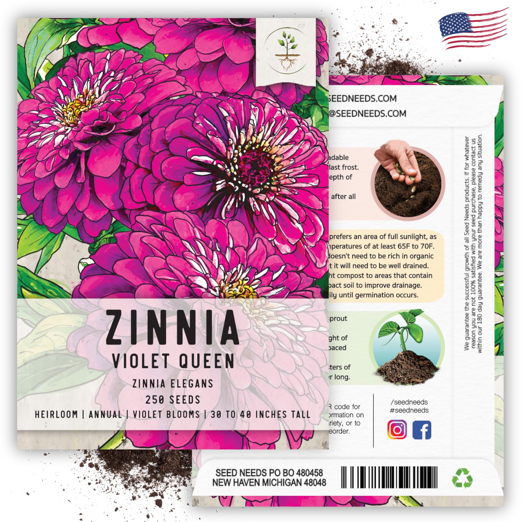 Amazon.com : Seed Needs, Violet Queen Zinnia Seeds - 250 Heirloom